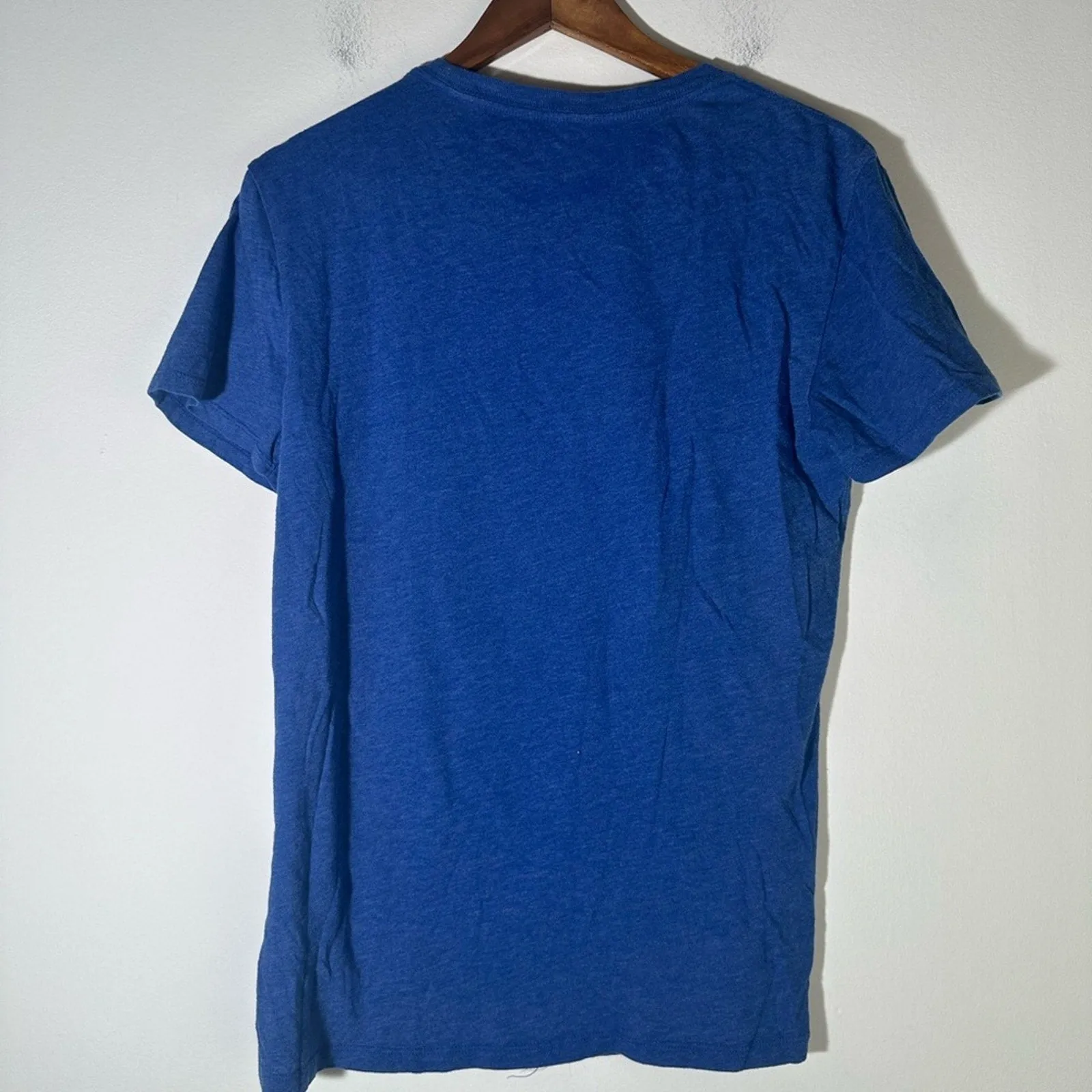 American Eagle Outfitters Blue Short Sleeve Tee with Graphic Print