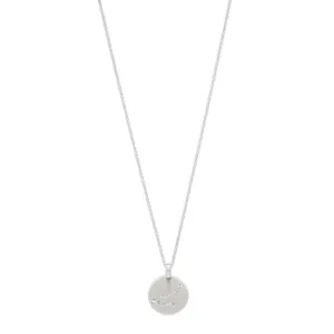 CAPRICORNUS Zodiac Sign Coin Necklace, silver-plated